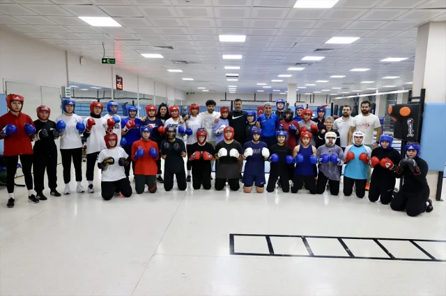 Genç Boksörler Avrupa'da Altın Peşinde