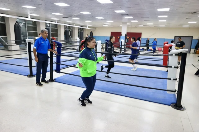 Genç Boksörler Avrupa'da Altın Peşinde
