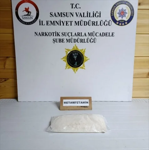 Dedektör köpeği Tony'nin keskin burnuyla büyük uyuşturucu operasyonu