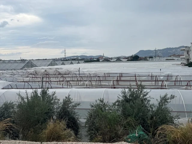 Antalya'yı Sarsan Şiddetli Sağanak ve Rüzgar Alarmı