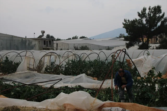 Mersin'de Seraları Vuran Hortum: Tahribatın Boyutları Şaşırtıyor