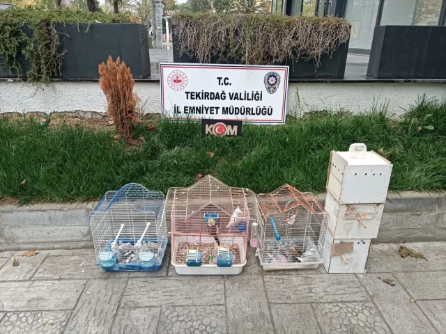 Tekirdağ'da Egzotik Kuş Kaçakçılığı Operasyonu