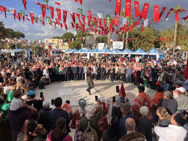 Milas'ta Zeytin Hasat Şenliği Coşkusu