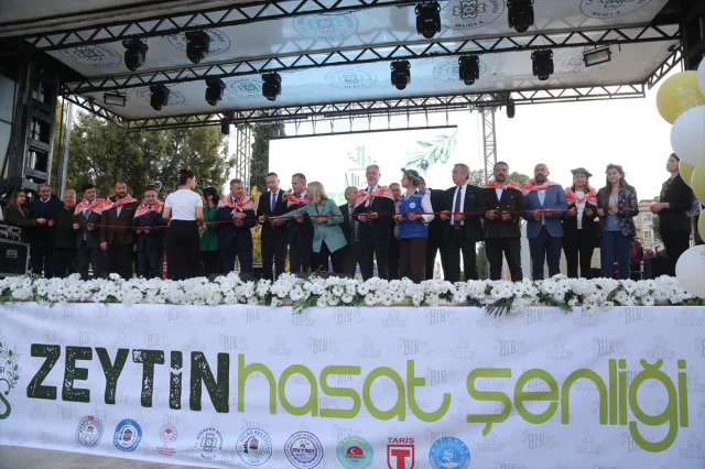 Milas'ta Zeytin Hasat Şenliği Coşkusu