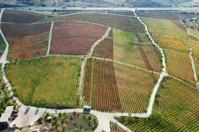 Manisa'da Gizemli Güz: Yanık Ülke'nin Sonbahar Büyüsü