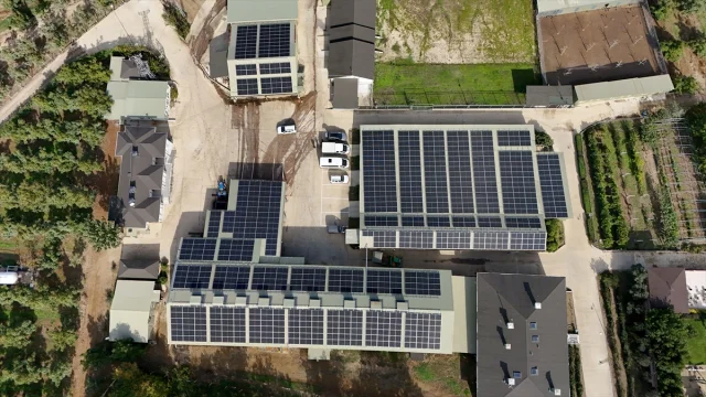 Kırklareli'nde Ceviz Üretiminde Dönüşüm: Elektriği Güneşten...