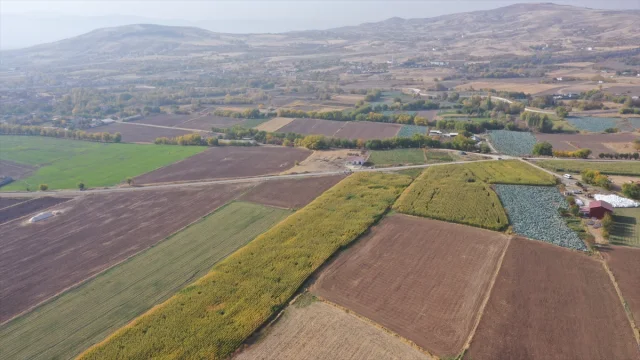 Elazığ'da kaybolan otizmli çocuğun aranması 5. gününde neden...