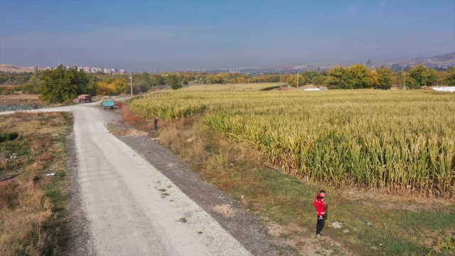 Elazığ'da kaybolan otizmli çocuğun aranması 5. gününde neden kritik hale geldi?