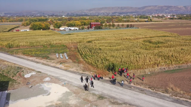 Elazığ'da kaybolan otizmli çocuğun aranması 5. gününde neden kritik hale geldi?