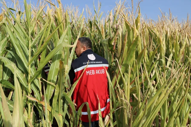 Elazığ'da kaybolan otizmli çocuğun aranması 5. gününde neden kritik hale geldi?
