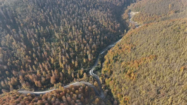 Sonbaharda Sinop Renkleriyle Büyülüyor
