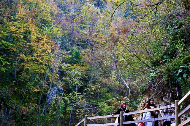 Düzce'nin gizli cenneti Aktaş Şelalesi sonbaharda ziyaretçilerini büyülüyor