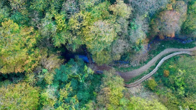 Düzce'nin gizli cenneti Aktaş Şelalesi sonbaharda ziyaretçilerini büyülüyor