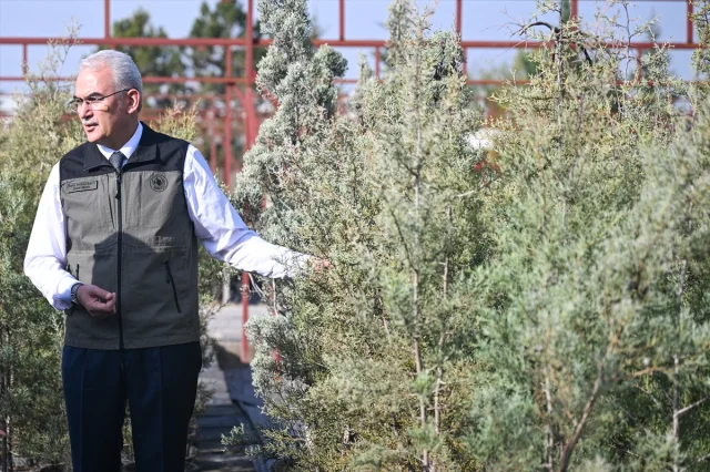 Türkiye’de Herkes Fidan Sahipleniyor