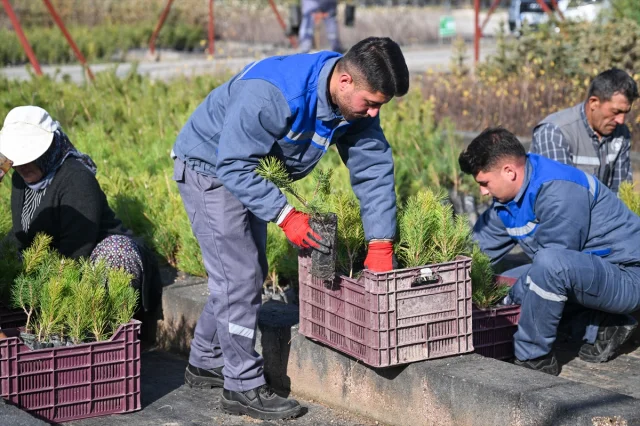 Türkiye’de Herkes Fidan Sahipleniyor