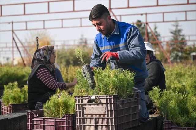 Türkiye’de Herkes Fidan Sahipleniyor