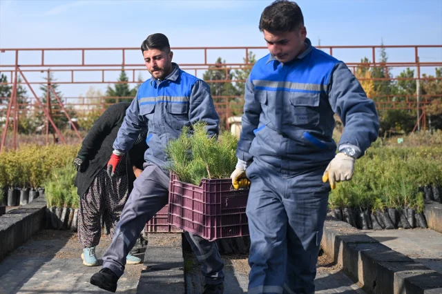 Türkiye’de Herkes Fidan Sahipleniyor