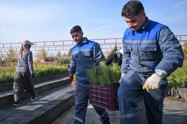 Türkiye’de Herkes Fidan Sahipleniyor
