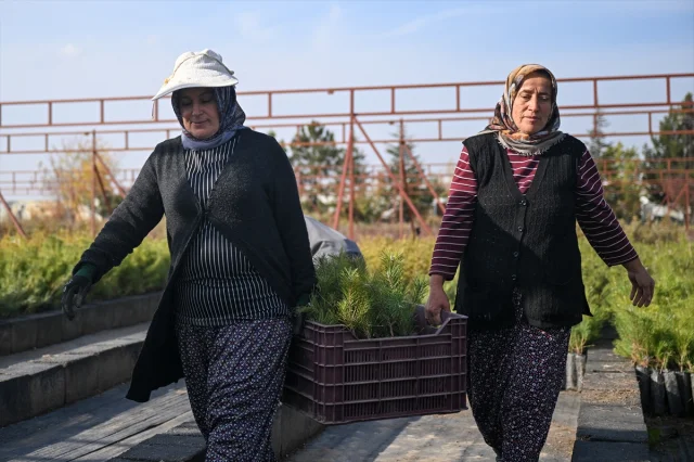 Türkiye’de Herkes Fidan Sahipleniyor