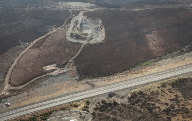 Bursa'da Orman Yangınlarının Yaraları Sarılıyor: 3 Milyon Fidan Toprakla Buluşacak