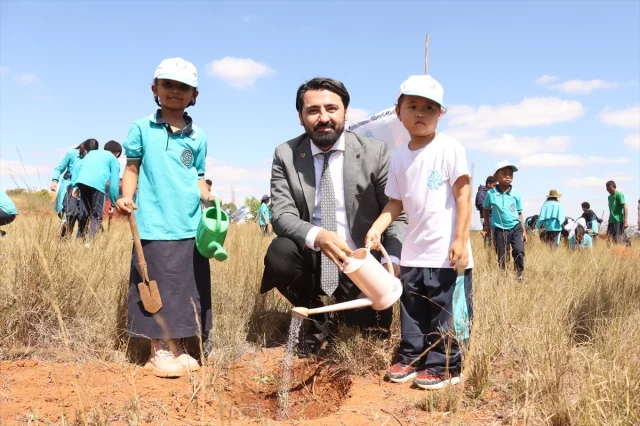 Madagaskar'da Yeşil Seferberlik: Yeni Fidanlar Toprakla Buluştu