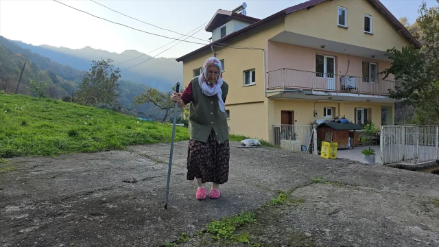 70 Yaşında Fırçayı Eline Aldı, 89'unda Sanatının Zirvesinde
