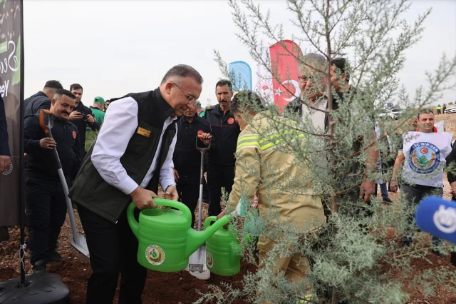 Gaziantep ve Çevresinde Milli Ağaçlandırma Günü Coşkusu