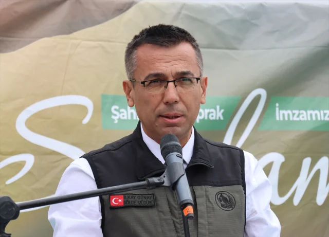 Adana, Mersin, Hatay ve Osmaniye'de Ağaçlandırma Heyecanı Hat Safhada