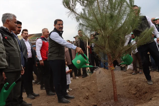 Adana, Mersin, Hatay ve Osmaniye'de Ağaçlandırma Heyecanı Hat Safhada