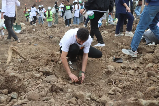 Adana, Mersin, Hatay ve Osmaniye'de Ağaçlandırma Heyecanı Hat Safhada