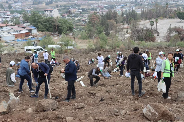 Adana, Mersin, Hatay ve Osmaniye'de Ağaçlandırma Heyecanı Hat Safhada
