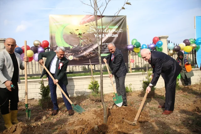 Karadeniz'de Milli Ağaçlandırma Seferberliği Başladı