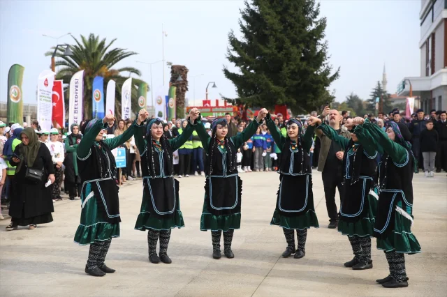 Karadeniz'de Milli Ağaçlandırma Seferberliği Başladı