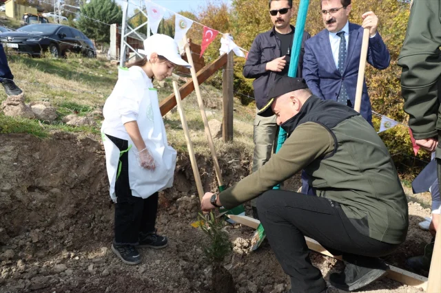 Karadeniz'de Milli Ağaçlandırma Seferberliği Başladı