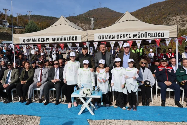 Karadeniz'de Milli Ağaçlandırma Seferberliği Başladı