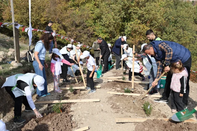 Karadeniz'de Milli Ağaçlandırma Seferberliği Başladı