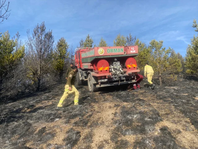 Kars'ta Ormanda Çıkan Yangınla Mücadele: 3 Hektar Alan Zarar Gördü