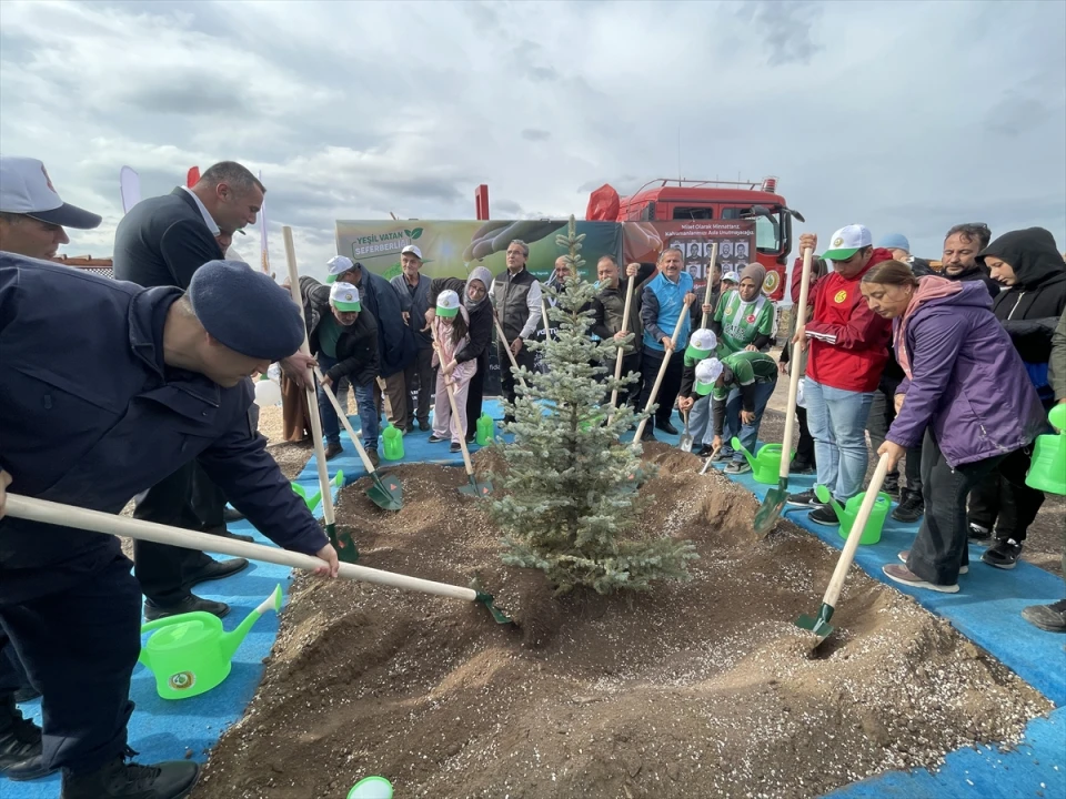 Şehit Dozer Operatörü Eyüp Dereli'ye Anlamlı Anma: Hatıra Ormanı Açıldı
