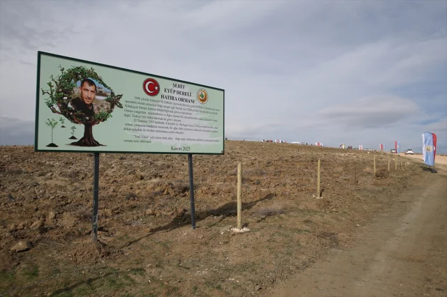 Şehit Dozer Operatörü Eyüp Dereli'ye Anlamlı Anma: Hatıra Ormanı Açıldı