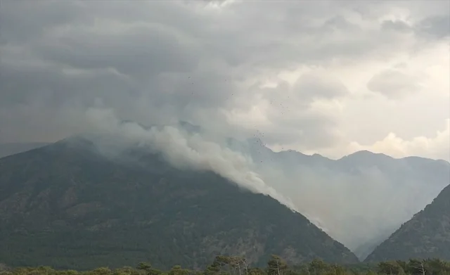Hatay'da Alevlerle Mücadele: İki Ayrı Yangın Noktasında Neler Oluyor