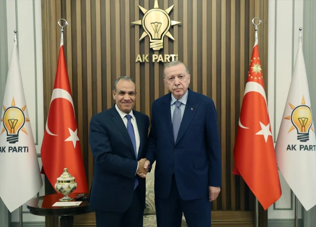 Cumhurbaşkanı Erdoğan ve Mısır'dan Önemli Ziyaret: Neler Görüşüldü?