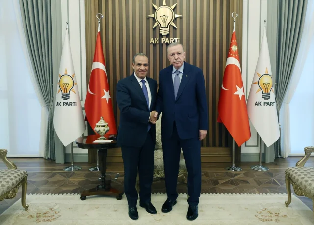 Cumhurbaşkanı Erdoğan ve Mısır'dan Önemli Ziyaret: Neler Görüşüldü?