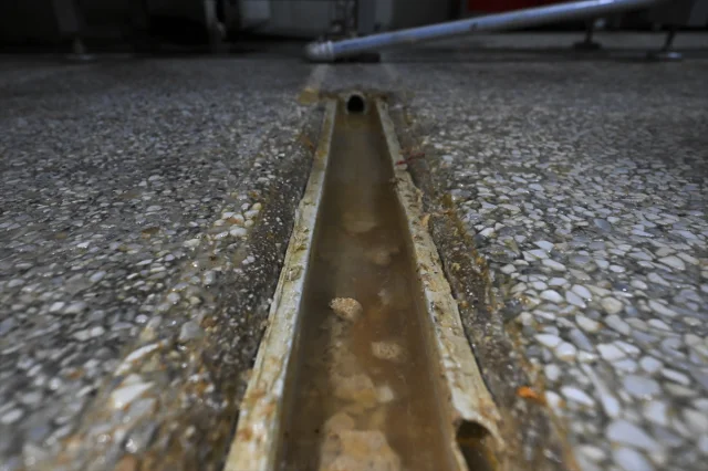Ankara'da gıda terörü: 64 ton sağlıksız ürün ele geçirildi