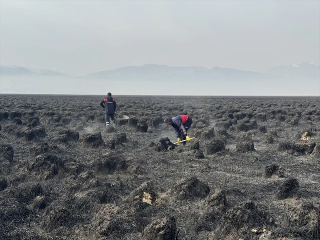Hakkari'de Nehil Sazlığı'nda Alevlerin Vurduğu Yaban Hayat Y...