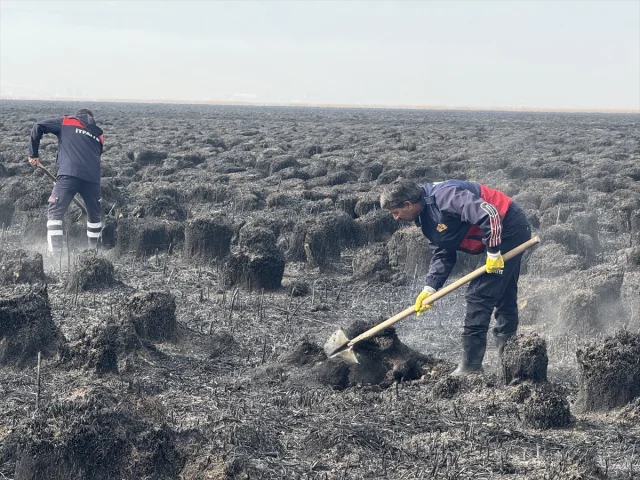 Hakkari'de Nehil Sazlığı'nda Alevlerin Vurduğu Yaban Hayat Yeniden Canlanıyor
