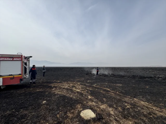 Hakkari'de Nehil Sazlığı'nda Alevlerin Vurduğu Yaban Hayat Yeniden Canlanıyor