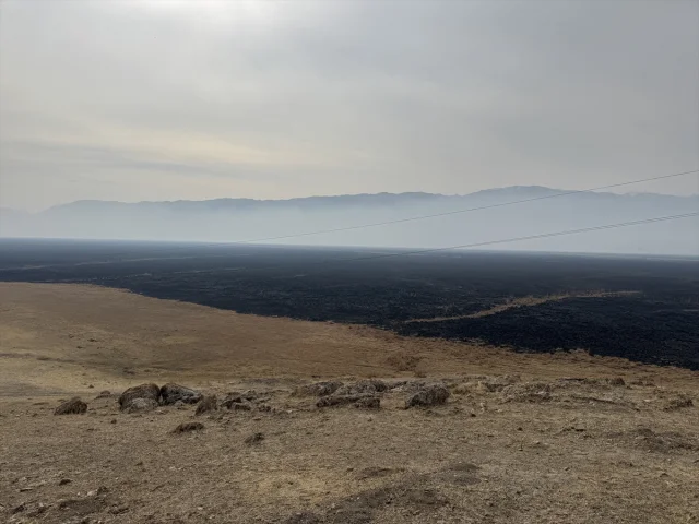 Hakkari'de Nehil Sazlığı'nda Alevlerin Vurduğu Yaban Hayat Yeniden Canlanıyor