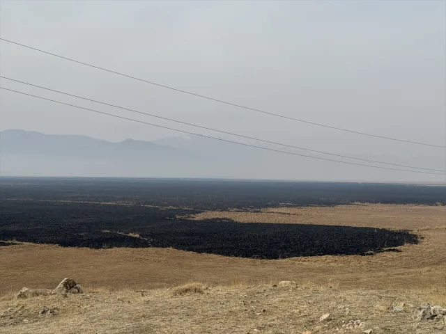 Hakkari'de Nehil Sazlığı'nda Alevlerin Vurduğu Yaban Hayat Yeniden Canlanıyor