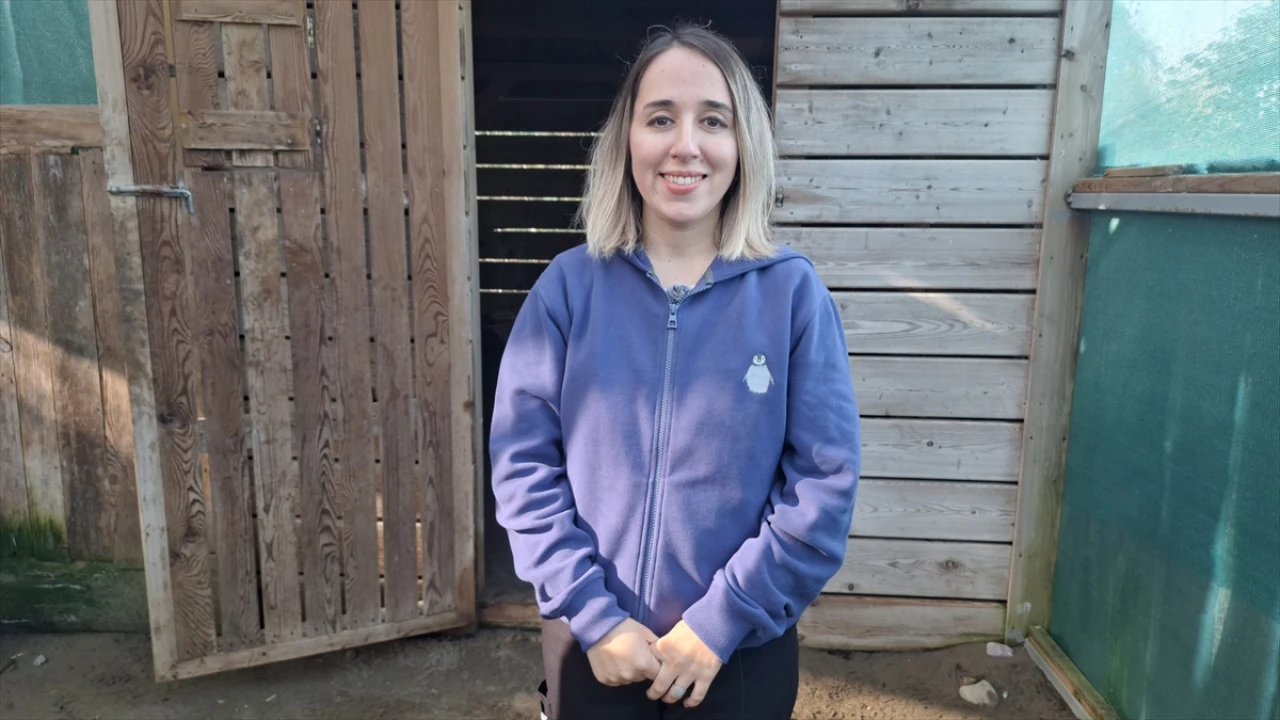 Yılan Kartalının Şaşırtıcı Yolculuğu: Tokat'tan Samsun'a Uzanan Tedavi Süreci