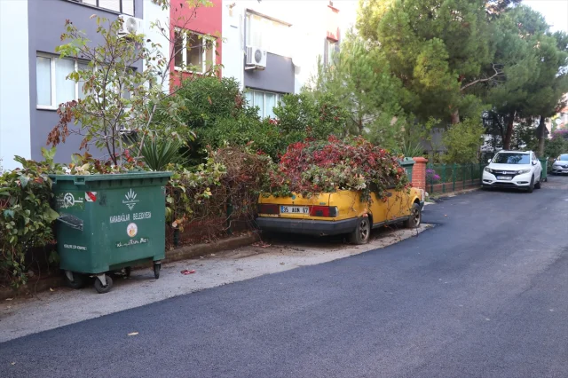 İzmir'de Sahipsiz Kalan Otomobil Yeşille Kaplandı
